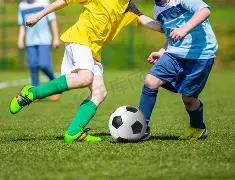 双色球,精准预测,红球必中秘,竞彩网,中国竞彩网,竟彩网首页