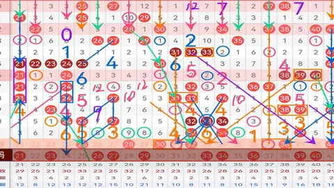 排列五第2026082期小天后杀码预测
