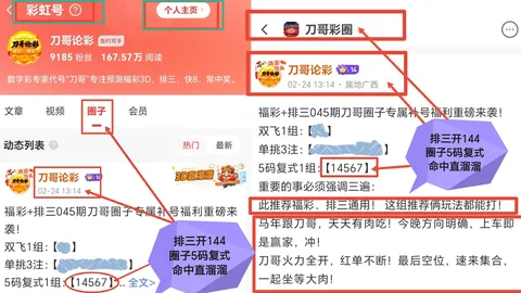 双色球第031期：专家福利后区预测精准，数据优化分析